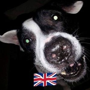 Meet your Posher, Mandy